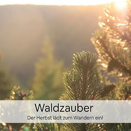 Haus Repin, Oberhof, Historische Am Rennsteig, Thueringer Wald * オーバーホーフ