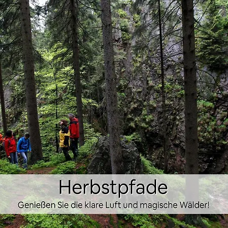 Haus Repin, Oberhof, Historische Am Rennsteig, Thueringer Wald Daire