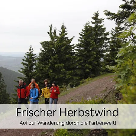 Haus Repin, Oberhof, Historische Am Rennsteig, Thueringer Wald アパート オーバーホーフ