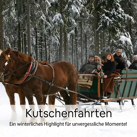 Haus Repin, Oberhof, Historische Am Rennsteig, Thueringer Wald * Oberhof