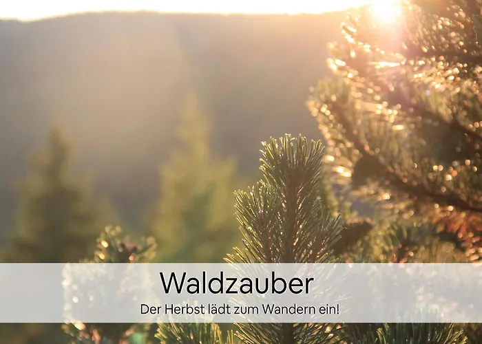 Haus Repin, Oberhof, Historische Am Rennsteig, Thueringer Wald * Oberhof (Thuringia)