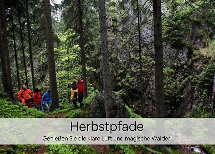 Haus Repin, Oberhof, Historische Am Rennsteig, Thueringer Wald Daire