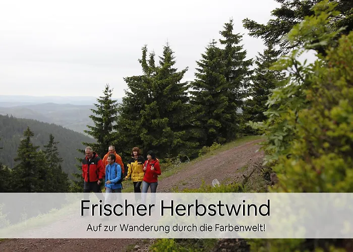 Haus Repin, Oberhof, Historische Am Rennsteig, Thueringer Wald Daire Oberhof (Thuringia)